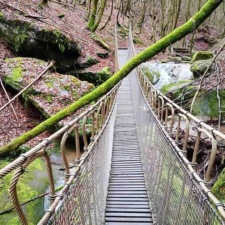 Ferienwohnung In Der Vulkaneifel 